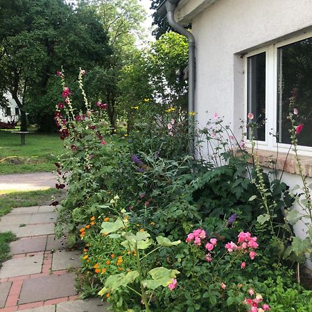 Cabana In Zweedorf An Der Ostsee Διαμέρισμα Δωμάτιο φωτογραφία